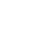 DCC Logo